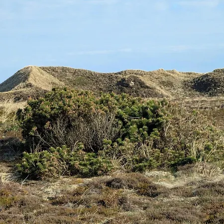 Bright Dune View Cottage-by Traum