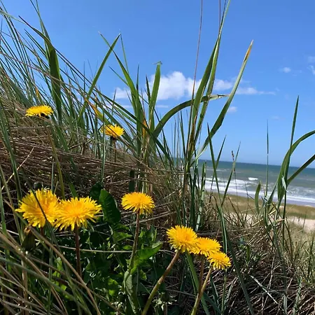 Bright Dune View Cottage-by Traum Casa vacanze *